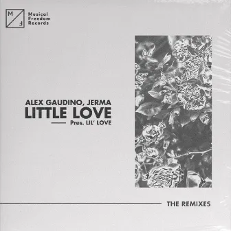 Little Love (pres. Lil' Love) [The Remixes] by Alex Gaudino