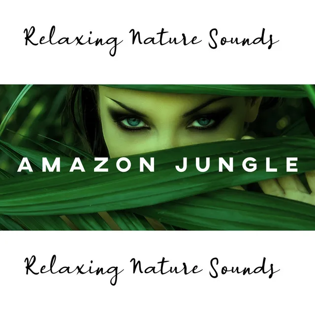 Amazon Jungle Relaxing Nature Sounds