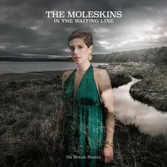 In the Waiting Line (Da Break Remix) by The Moleskins