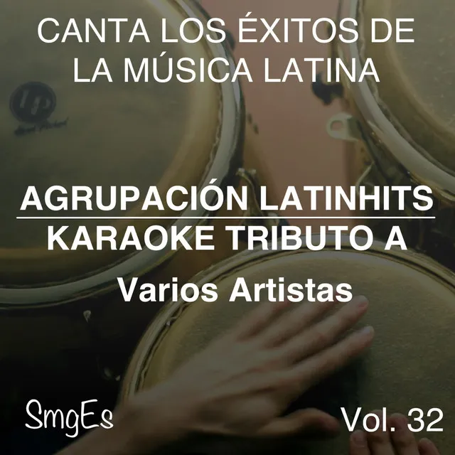 Instrumental Karaoke Series: Varios Artistas, Vol. 32