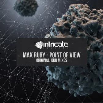 Point of View by Max Ruby