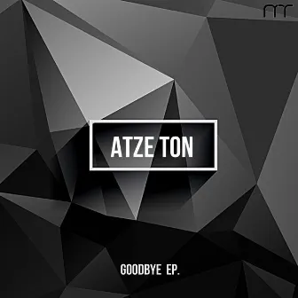 I Don't Like Say Goodbye (Remixes) by Atze Ton