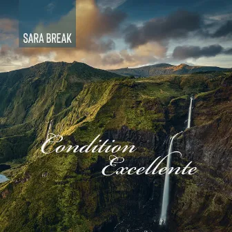 Condition Excellente by Sara Break