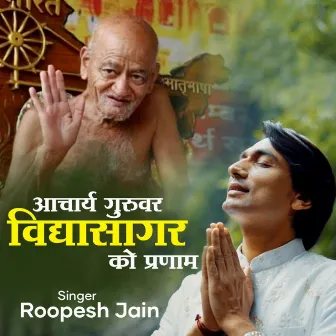 Acharya Guruver Vidhya Sagar Ko Pranam by Roopesh Jain