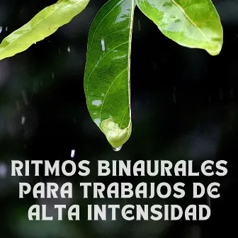 Ritmos binaurales para trabajos de alta intensidad by Colectivo de Música para Trabajar