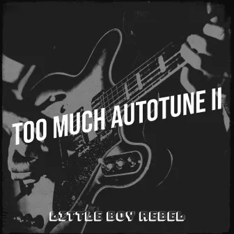 Too Much AutoTune II by Unknown Artist