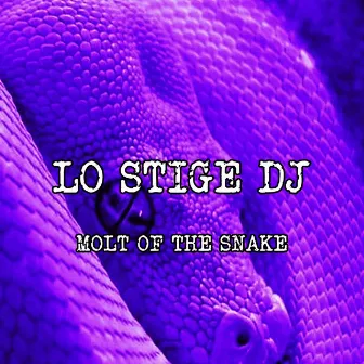 Molt of the snake by Ermete Lo Stige