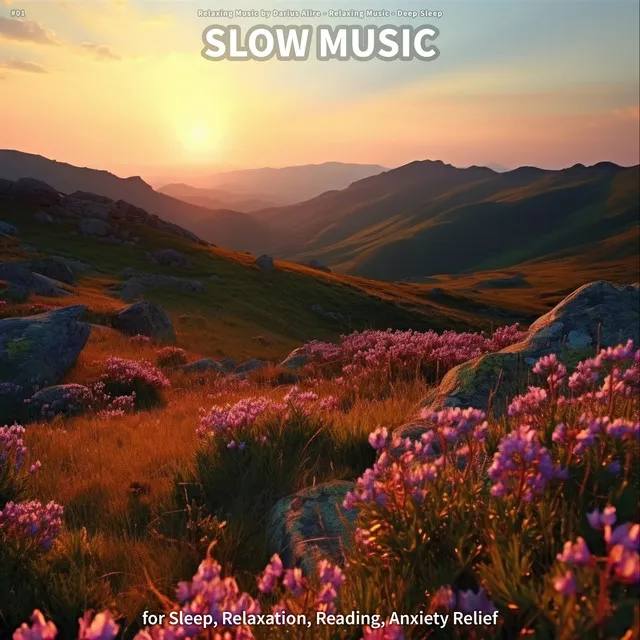 #01 Slow Music for Sleep, Relaxation, Reading, Anxiety Relief