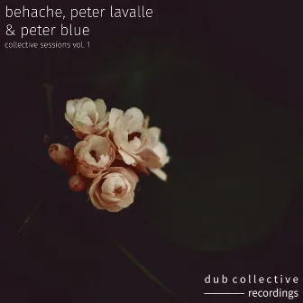 Collective Sessions 001 by Peter Blue