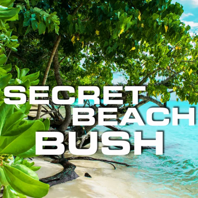 Secret Beach Bush