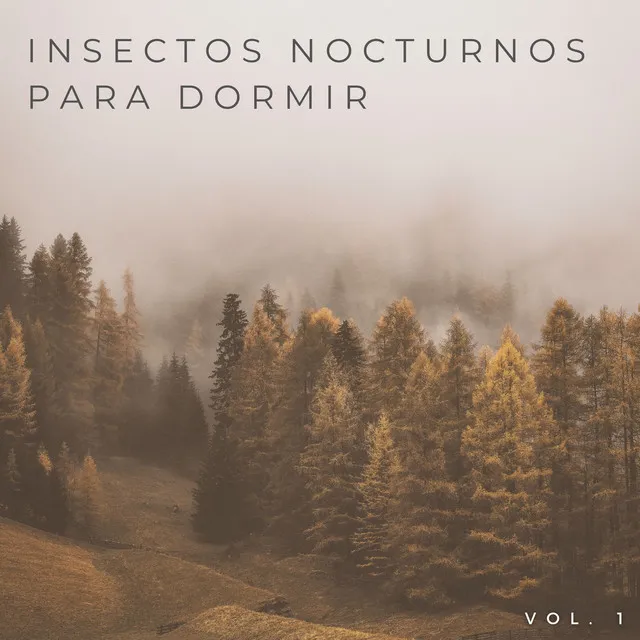 Sonidos De Insectos Por La Noche