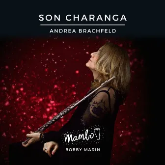 Son Charanga by Andrea Brachfeld