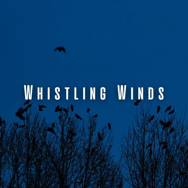 Whistling Winds: Heavy Rain and Birds for Sleep Immersion