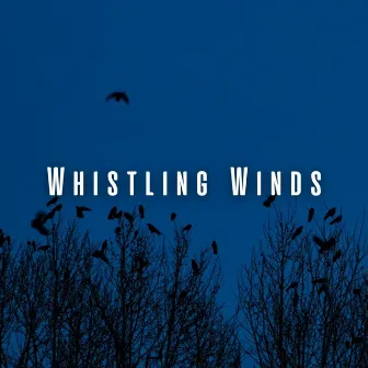 Whistling Winds: Heavy Rain and Birds for Sleep Immersion by The Weather Company