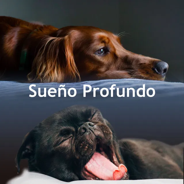 Sueño Profundo