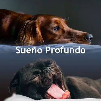 Sueño Profundo by Experiencia musical de sueño profundo