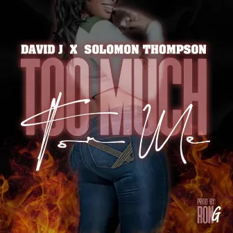 Too Much for me by David J