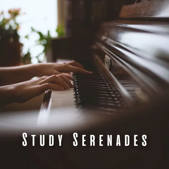 Study Serenades: Piano Meditations for Concentrated Mind