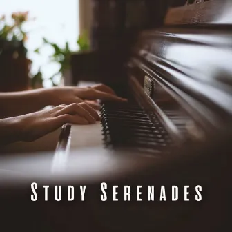 Study Serenades: Piano Meditations for Concentrated Mind by Relaxing Study Music Orchestra