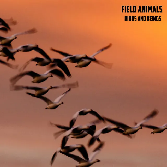 Field Animals