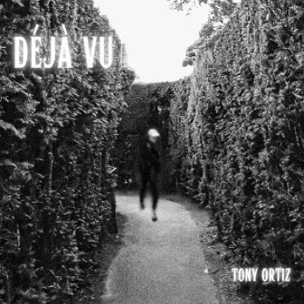 Deja Vu by Tony Ortiz