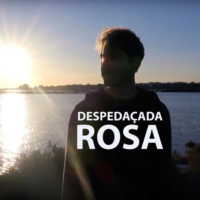 Despedaçada Rosa