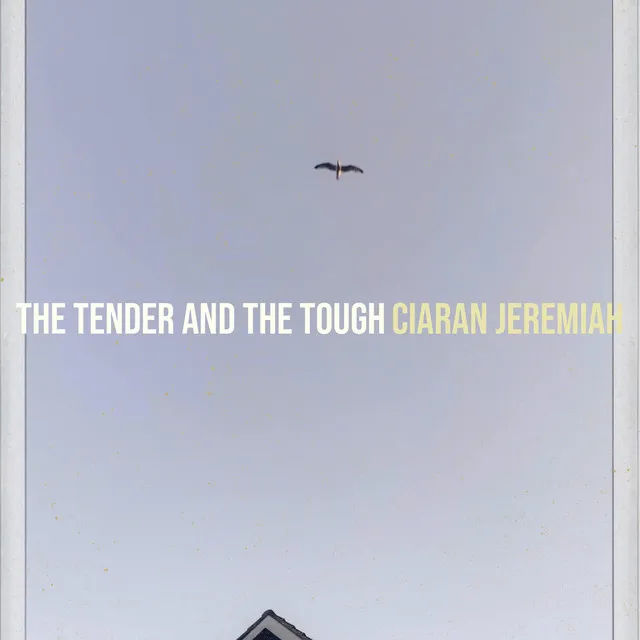 The Tender and the Tough