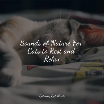 Sounds of Nature For Cats to Rest and Relax by Music for Cats TA