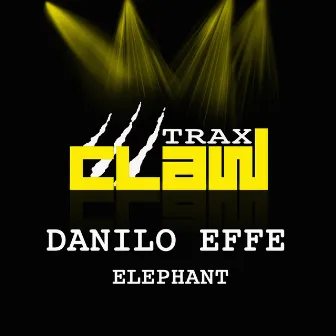 Elephant by Danilo Effe