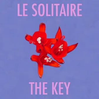 The Key by Le Solitaire