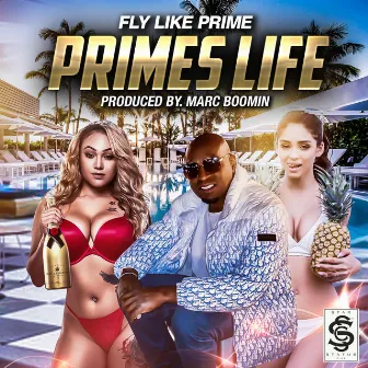 Primes Life by Fly Like Prime