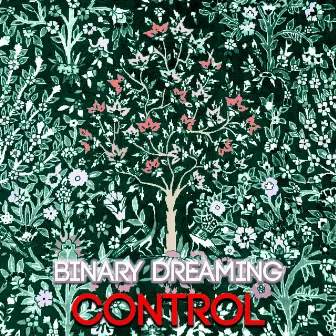 Control by Binary Dreaming