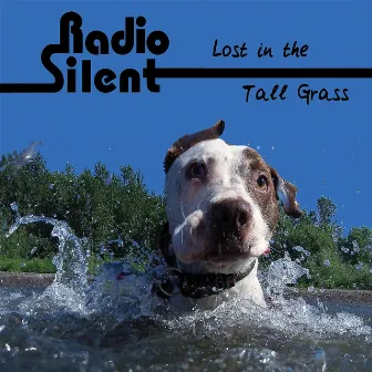 Lost in the Tall Grass by Radio Silent