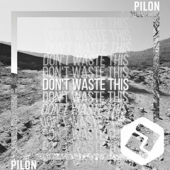 DON’T WASTE THIS by PILON