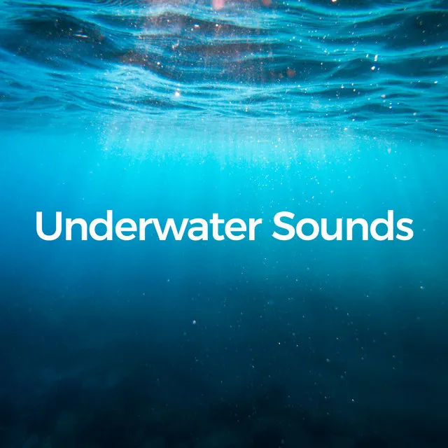 Underwater Sounds Specialists