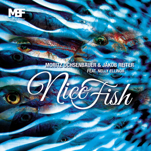 Nice Fish - Original Mix