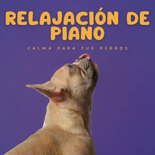 Relajación De Spa Con Piano