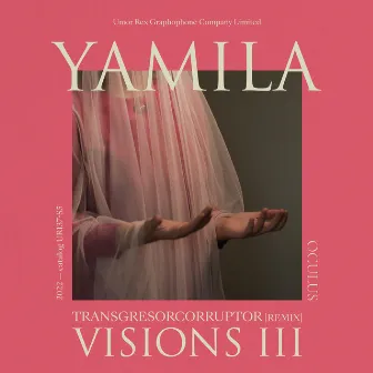 Visions VIII by Yamila