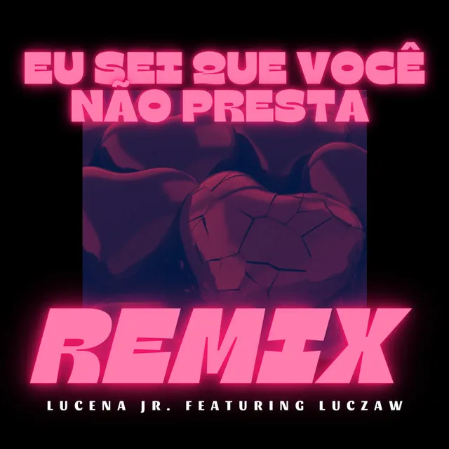 Eu Sei Que Você Não Presta - Remix