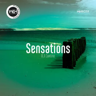 Sensations by DJ Dantino