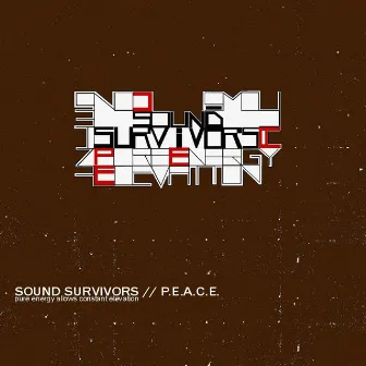 P.E.A.C.E. by Sound Survivors