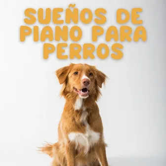 Sueños De Piano Para Perros by Música suave para perros