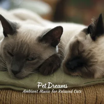 Pet Dreams: Ambient Music for Relaxed Cats by Relaxing Ambients