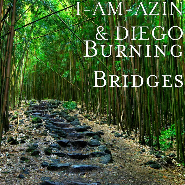 Burning Bridges