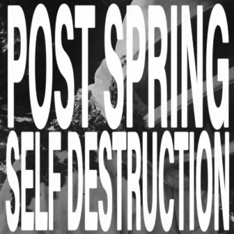 post spring, self destruction by aldn