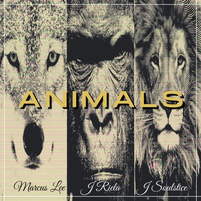 Animals