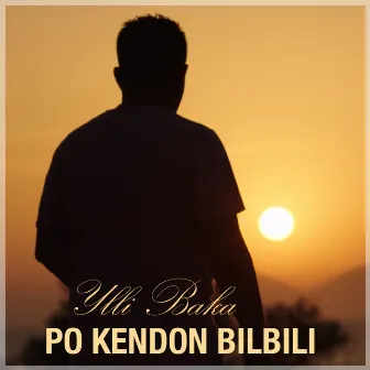 Po kendon bilbili by Ylli Baka