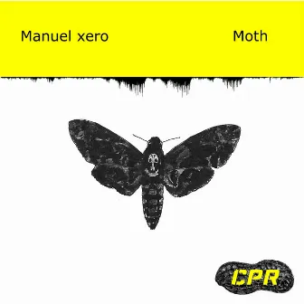 Moth by Manuel xero