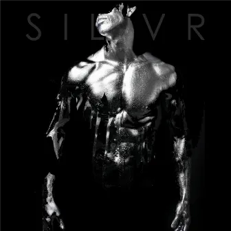 Dark by Silvr