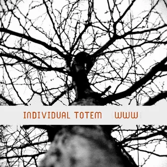 WWW by Individual Totem